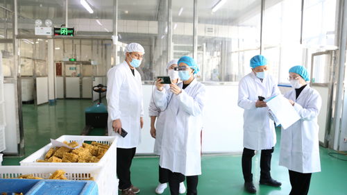 大连自贸片区推出食品生产加工“5G+AR”智慧监管新模式，赋能健康管理与咨询